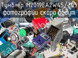 Тумблер M2019EA2W45/305 