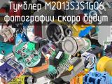 Тумблер M2013S3S1G06 