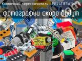 Кнопочный переключатель  MB2411E1W13-FA