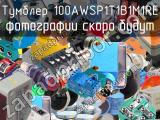 Тумблер 100AWSP1T1B1M1RE