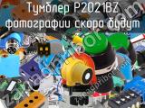 Тумблер P2021BZ