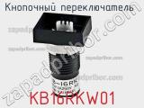 Кнопочный переключатель  KB16RKW01 