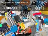 Кнопочный переключатель  PV3WF2H0SS-341 