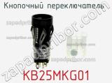 Кнопочный переключатель  KB25MKG01 