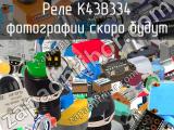 Реле K43B334 