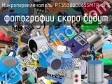 Микропереключатель PTS530GG065SMTR LFS