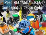 Реле RGC1A60A60KGU 