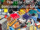 Реле CS1W-CRM21 