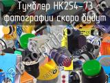 Тумблер HK254-73 