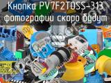 Кнопка PV7F2T0SS-313 