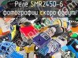 Реле SMR2450-6 