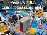 Реле CWU4825 