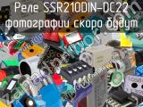 Реле SSR210DIN-DC22 