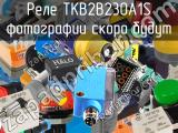 Реле TKB2B230A1S