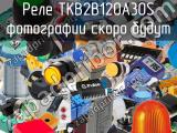 Реле TKB2B120A30S