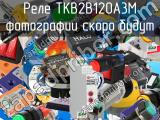 Реле TKB2B120A3M