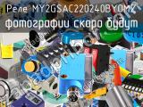 Реле MY2GSAC220240BYOMZ