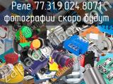 Реле 77.31.9.024.8071