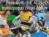 Реле G5RL-1-E AC24 