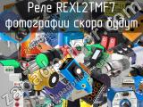 Реле REXL2TMF7 