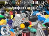 Реле 55.13.8.230.0000