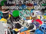 Реле DS1E-M-DC5V 