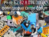 Реле 62.82.8.024.0000 