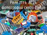 Реле MY4 AC24 