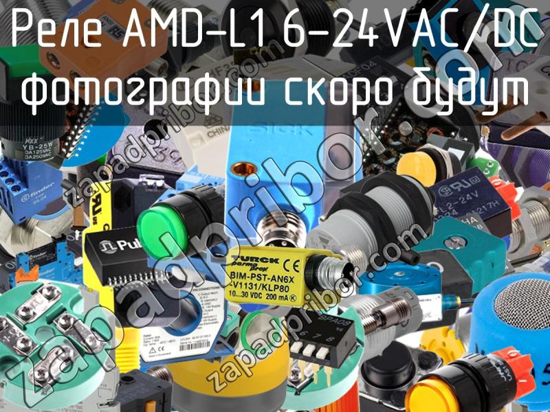 Реле AMD-L1 6-24VAC/DC фотография.