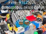 Реле  RTE25024 