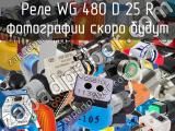 Реле WG 480 D 25 R