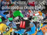 Реле RNC1CO230/SNC05-S-D 
