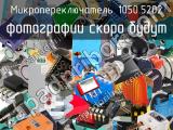 Микропереключатель 1050.5202 