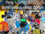 Реле 403190060000