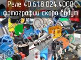 Реле 40.61.8.024.4000 