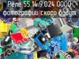 Реле 55.14.9.024.0000