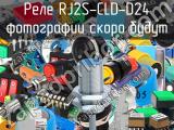 Реле  RJ2S-CLD-D24 