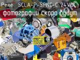 Реле  SCLA-P-SPNC-C 24VDC 