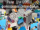 Реле  D1A120000