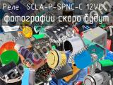 Реле  SCLA-P-SPNC-C 12VDC