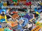 Реле  SCLA-P-SPDT-C 240VAC 