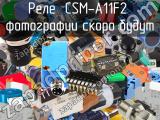 Реле  CSM-A11F2 