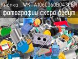 Кнопка  WKTA1060060B043CBR