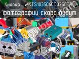 Кнопка  WKTS1035060D025CTR