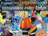 Кнопка  WKTA1120120A060CBR 