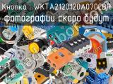 Кнопка  WKTA2120120A070CBR