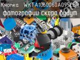 Кнопка  WKTA1060060A095CBR 