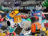 Кнопка  WKTS1045045D070CTR