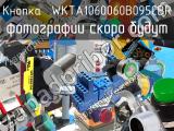 Кнопка  WKTA1060060B095CBR