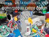 Кнопка  WKTA1060060E043CBR